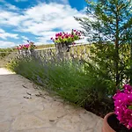 Dalmacia By Interhome Holiday home Sibenik