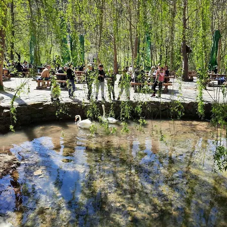 Dalmacia By Interhome