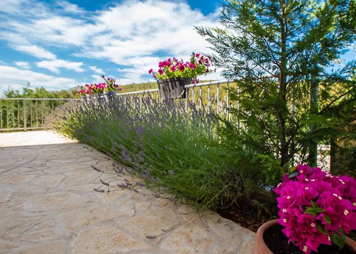 Dalmacia By Interhome Vakantiehuis Šibenik